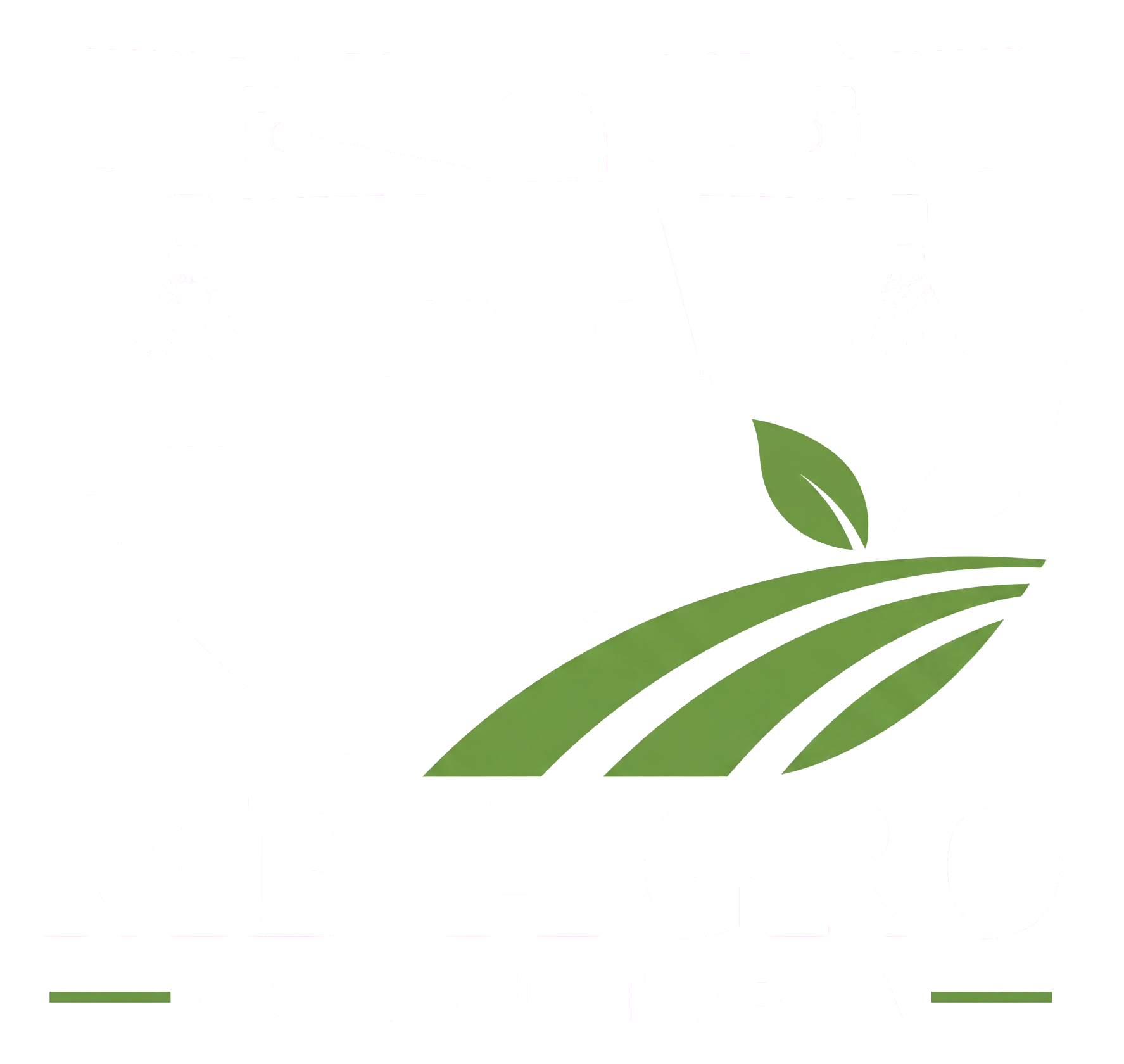 Logo MB Agro Consultoria